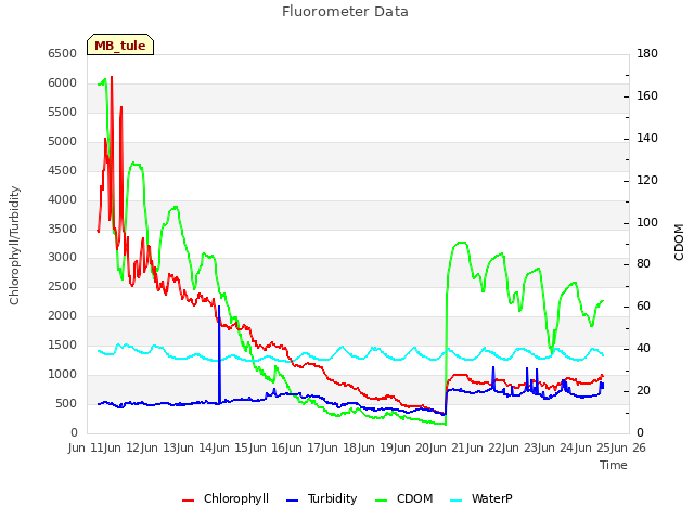 plot of Fluorometer Data