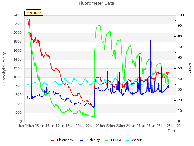 plot of Fluorometer Data