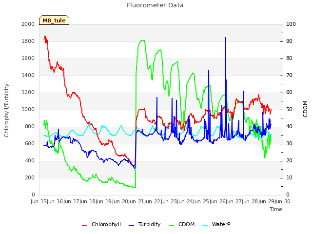 plot of Fluorometer Data