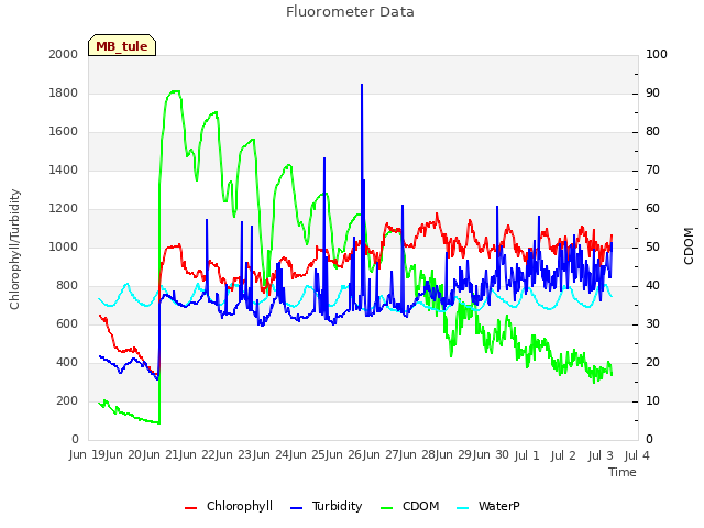 plot of Fluorometer Data