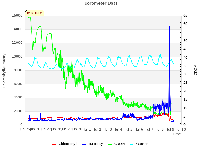 plot of Fluorometer Data