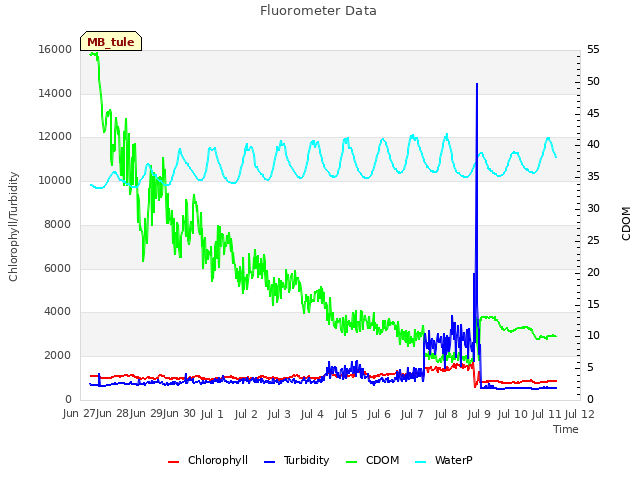 plot of Fluorometer Data