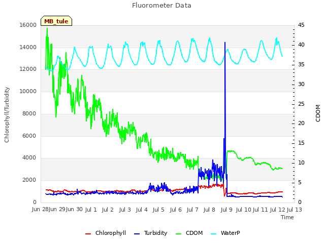 plot of Fluorometer Data