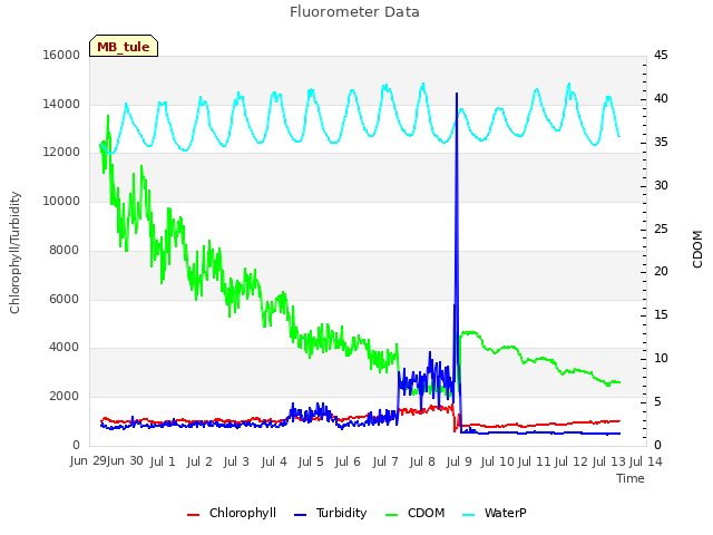 plot of Fluorometer Data