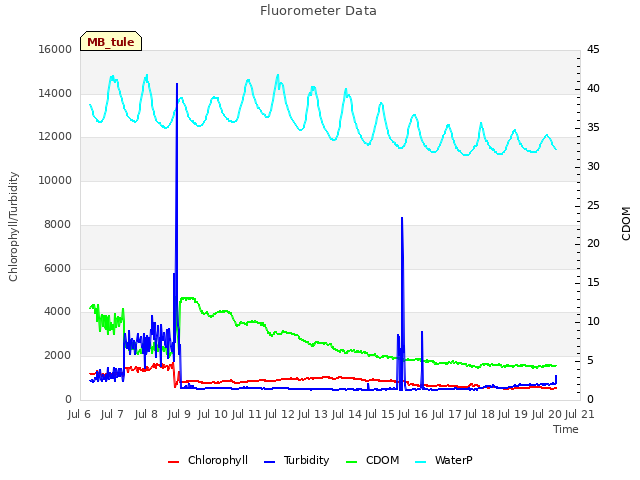 plot of Fluorometer Data