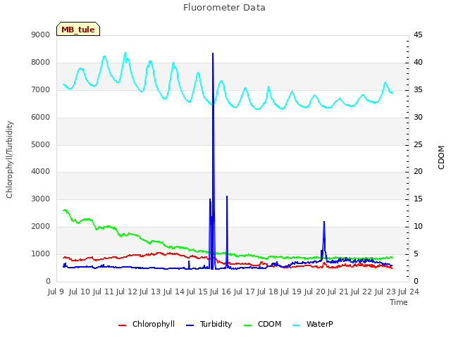 plot of Fluorometer Data