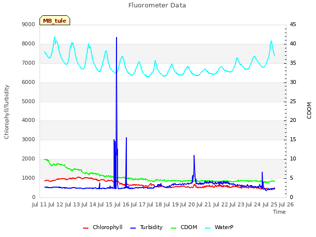 plot of Fluorometer Data