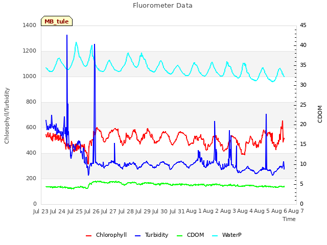 plot of Fluorometer Data