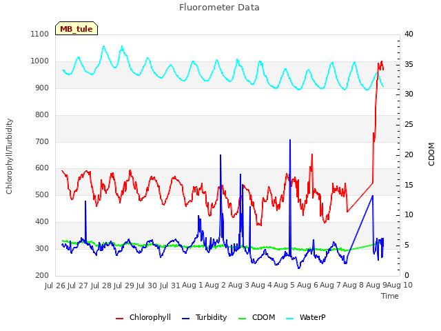 plot of Fluorometer Data