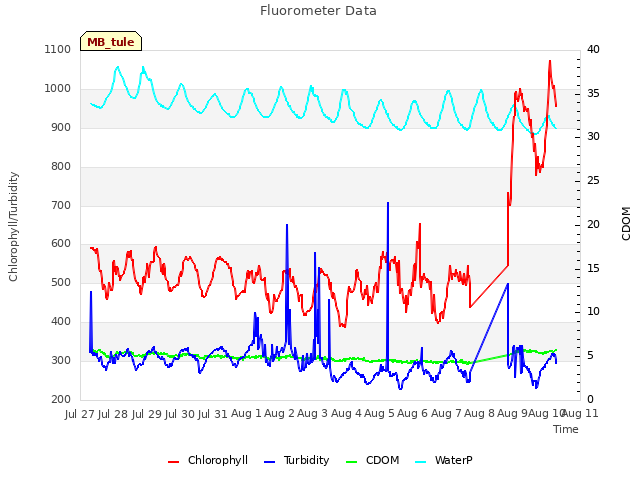 plot of Fluorometer Data