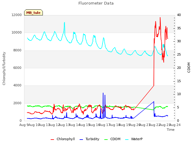 plot of Fluorometer Data