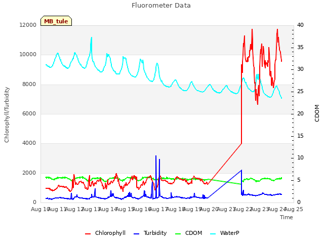 plot of Fluorometer Data