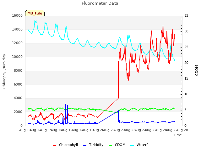 plot of Fluorometer Data