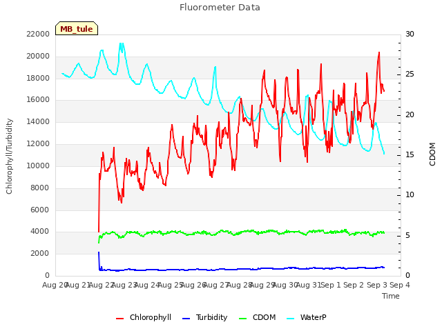 plot of Fluorometer Data