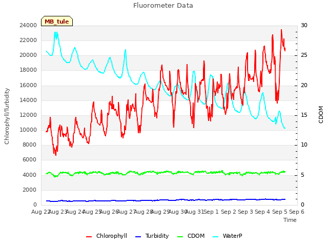 plot of Fluorometer Data