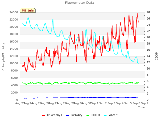 plot of Fluorometer Data