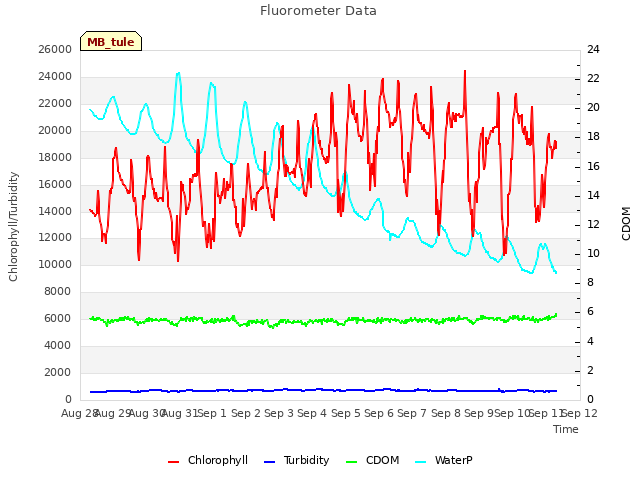 plot of Fluorometer Data