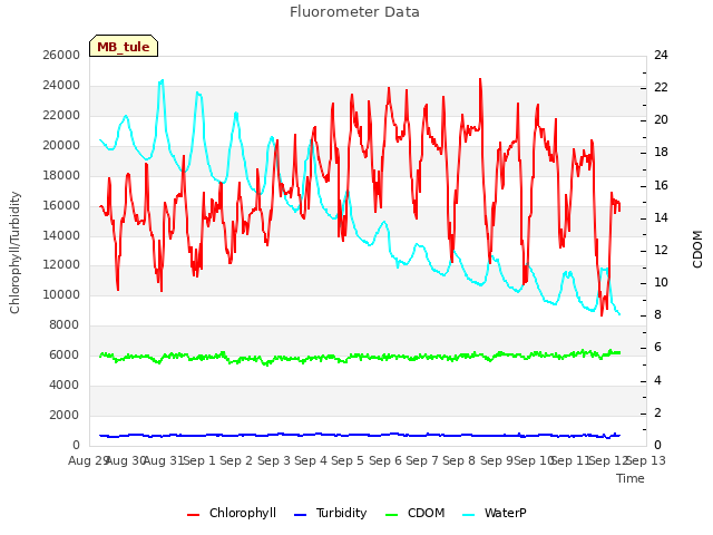 plot of Fluorometer Data