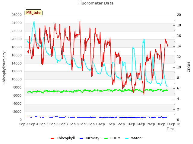 plot of Fluorometer Data