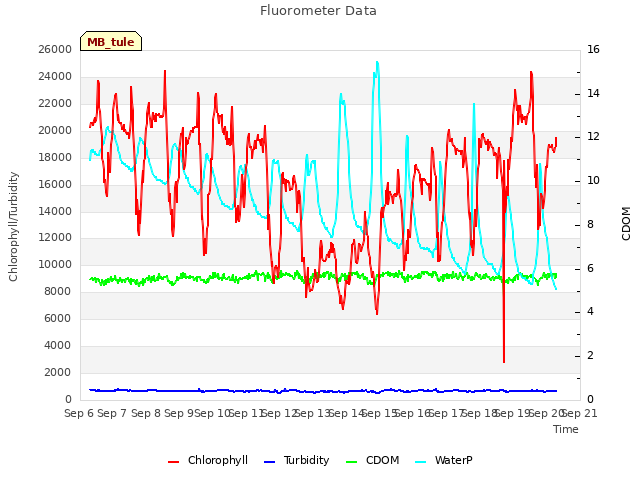 plot of Fluorometer Data