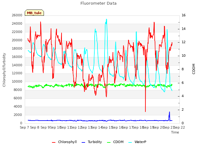 plot of Fluorometer Data