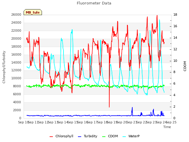 plot of Fluorometer Data