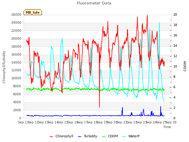 plot of Fluorometer Data