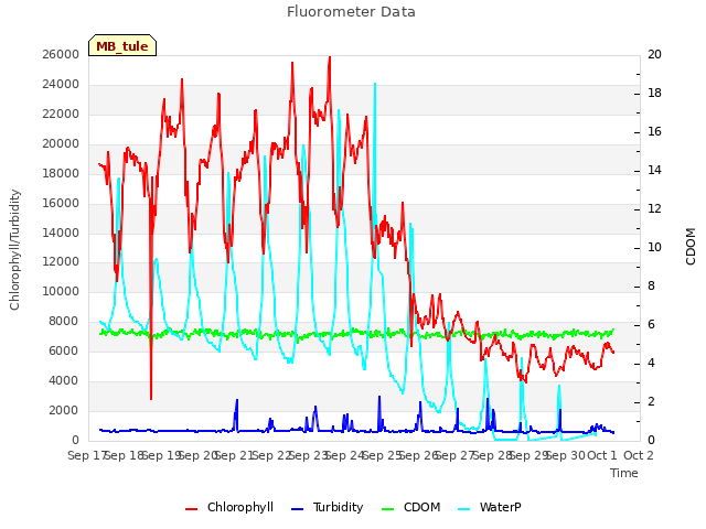 plot of Fluorometer Data