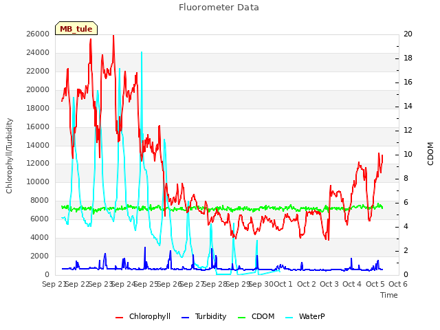 plot of Fluorometer Data