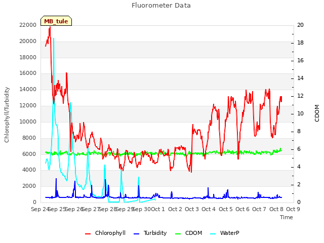 plot of Fluorometer Data