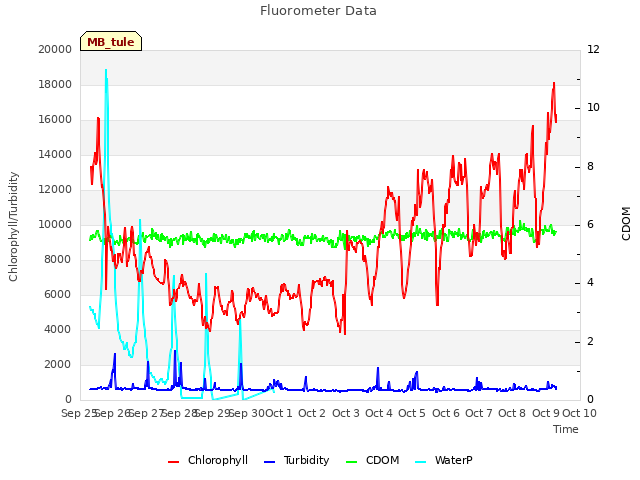 plot of Fluorometer Data