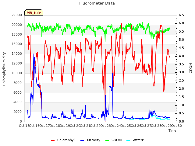 plot of Fluorometer Data