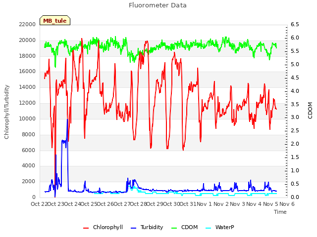 plot of Fluorometer Data