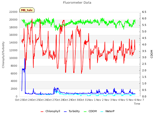 plot of Fluorometer Data