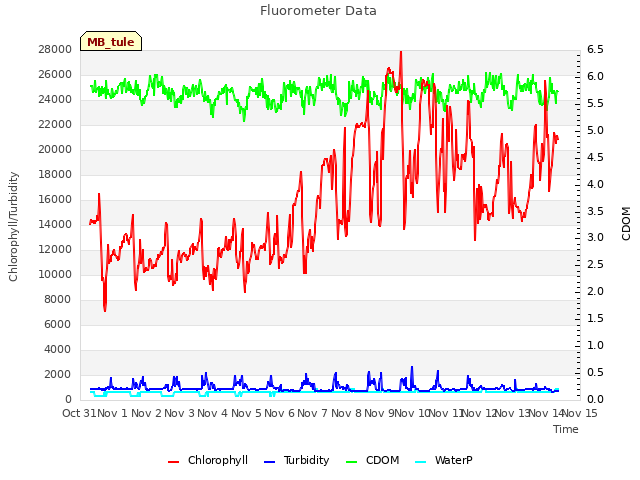 plot of Fluorometer Data