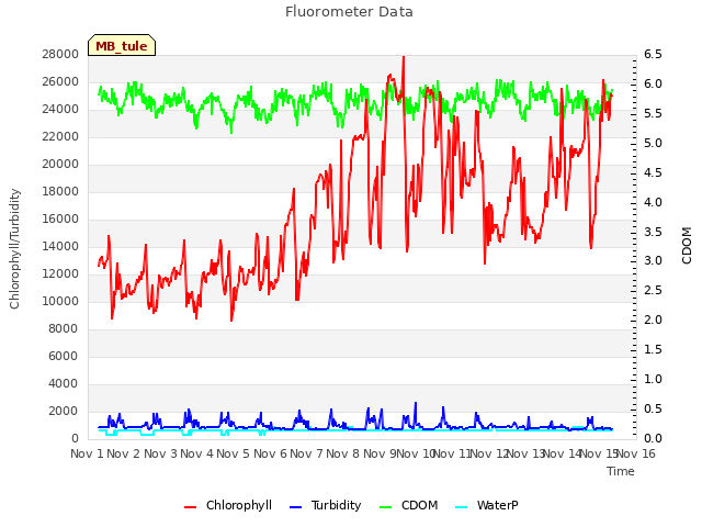 plot of Fluorometer Data