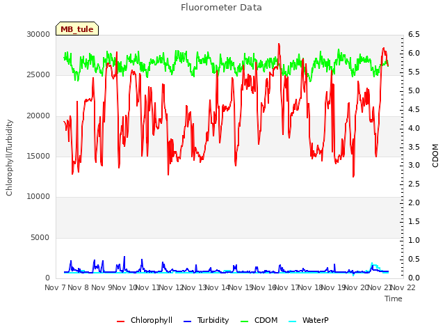 plot of Fluorometer Data