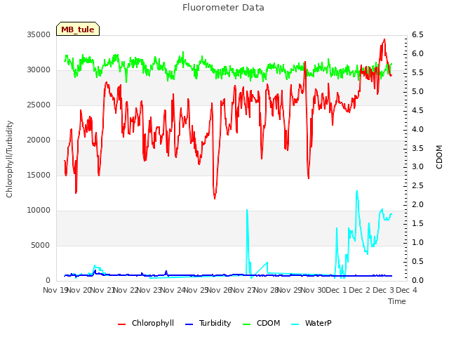 plot of Fluorometer Data