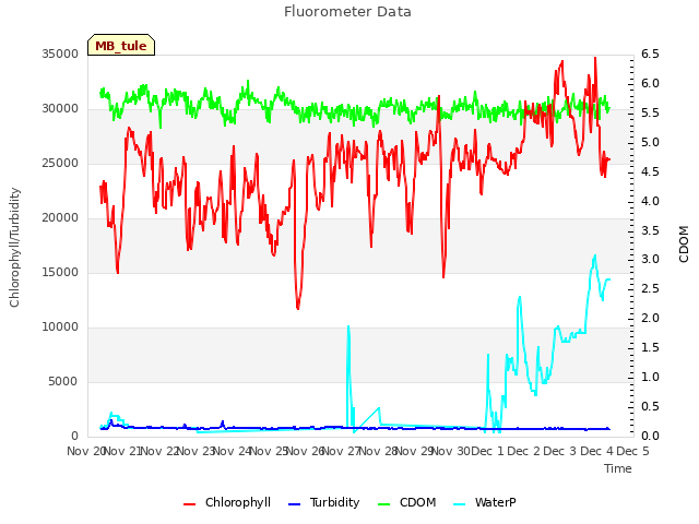 plot of Fluorometer Data