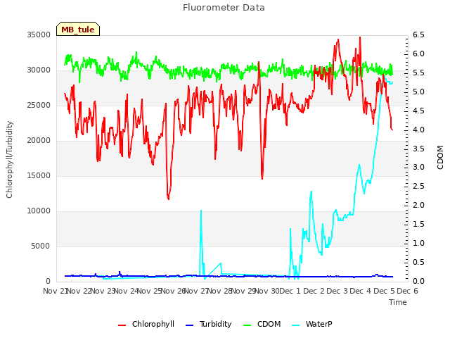 plot of Fluorometer Data