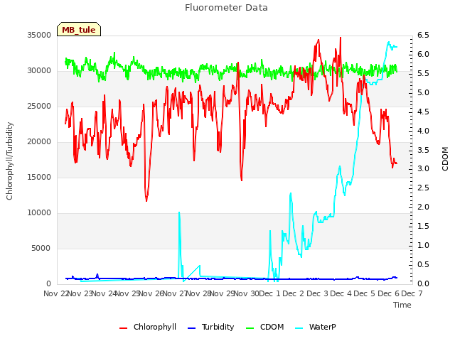 plot of Fluorometer Data