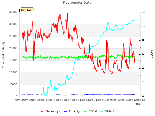 plot of Fluorometer Data