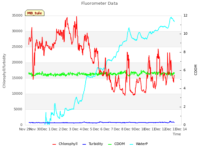 plot of Fluorometer Data