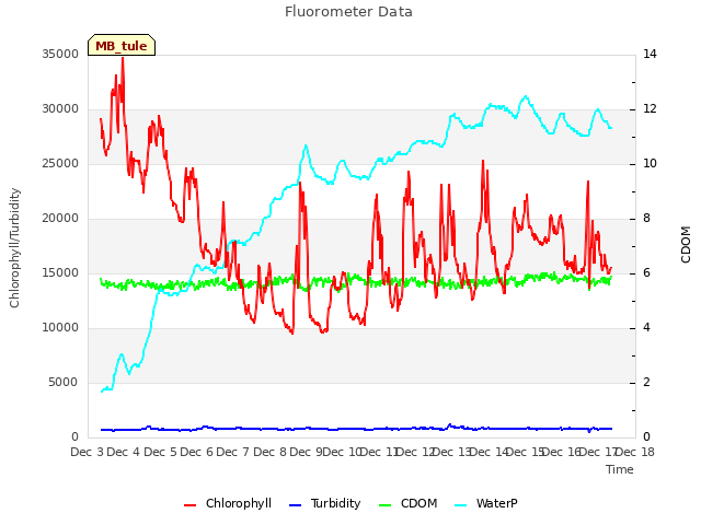 plot of Fluorometer Data