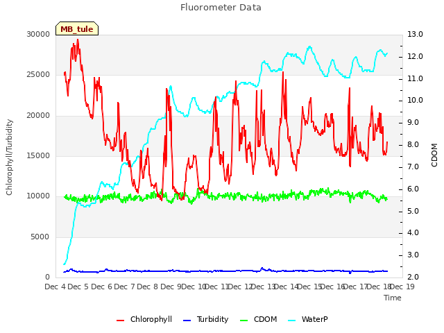 plot of Fluorometer Data