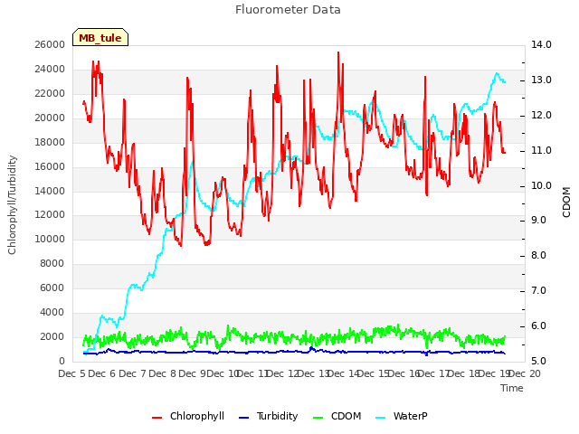 plot of Fluorometer Data