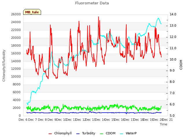 plot of Fluorometer Data