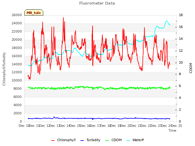 plot of Fluorometer Data