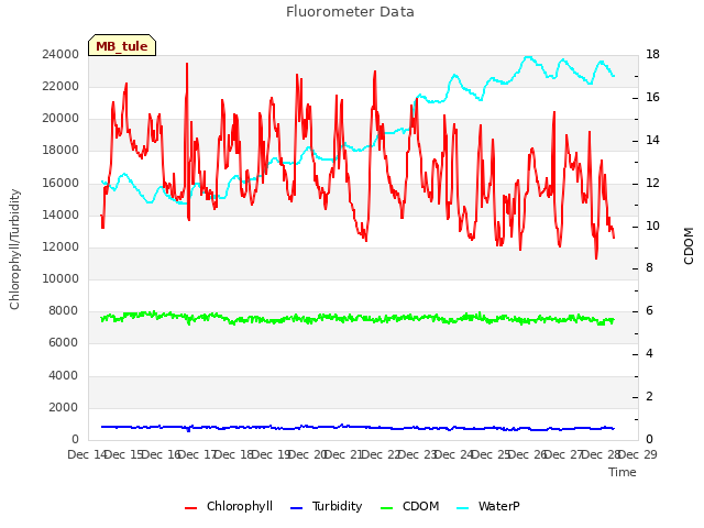 plot of Fluorometer Data