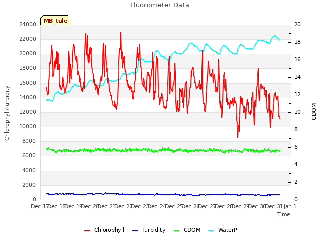 plot of Fluorometer Data